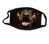 Maschera per cani animali 3D stampato Divertente copertura per il viso Maschera per gatti Moda Scudo per il viso Lavato Maschere antipolvere riutilizzabili per uomini e donne LSK956
