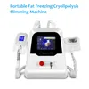 Cryolipolyse innovante 2 Cryo Gire