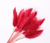 50 teile/los Natürlichen Farbverlauf Getrocknete Blumen Brautstrauß Ostern Home Dekorationen Kaninchen Schwanz Gras Ostern Dekorationen