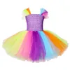 Fancy Baby Girl Rainbow Unicorn Girls Dress Fare Elegant Children Kids Long Dutu Plate Presses Drances Teen Girl 210 лет 09258728697