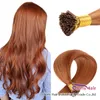 # 30 MEDIO AUBURN STICK I TIP TIP EXTENSIONES DE PELO KERATIN FUSION PRENDIDO PRODUCTO SALIDA SILIDA RECTORIA REMY REMY NATURAL PELO HUMANO 100 HILOS 0.5G / S