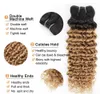 Ombre Deep Wave Remy Hair Bundles Wefts Curly 1B27 för naturliga mänskliga hårförlängningar1299587