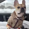 Açık Pet Köpek Giyim Klasik Desen Moda Ayarlanabilir evcil hayvan koşumları Ceket Sevimli Teddy Hoodies Takım Elbise Küçük Yaka Aksesuarı