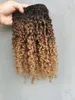 Wholesales Brazilian Human Hair Vrgin Remy Hair Extensions Kinky Curly Hair weft Style Natural Black/Brown/Blonde Ombre Color