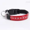 LED في الهواء الطلق مضيئة Pet Dog Collars USB تهمة الكلب طوق القابل للتعديل 4 أوضاع وميض بو وميض وميض طوق الحيوانات الأليفة BH129870999