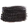 Całe brazylijskie Remy Remy Warwiniki włosów splot Kinky Curly 1kg 10 Bundles Partię Nieprocentowane dziewicze włosy naturalny kolor wycięty z ON4965597