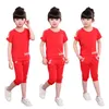 New Summer Girls Clothes Sets Children's Clothing Set Short Sweatshirt + Pants 2 Piece Baby Girl Clothes 3 4 5 6 8 9 10 12 Years