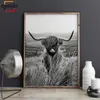 In bianco e nero Mucca Stampa Casale della parete di arte su tela pittura animale Large Poster Soggiorno Camera da letto Foto