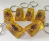 15 pcs Insect Specimen Artificial Amber Scorpion Jewelry Taxidermy Gift Accessories6885165