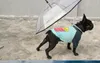 شفاف الحيوانات الأليفة مظلة الكلب c على شكل مظلة مستلزمات الحيوانات الأليفة مصنع المبيعات المباشرة قابل للتعديل الكلب المطر المشي المقود