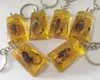 15 pcs Insect Specimen Artificial Amber Scorpion Jewelry Taxidermy Gift Accessories