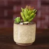 アイスクラックフラワーポット多肉植物庭の植物の鍋のミニサムデスクのオフィスの植木鉢セラミック高品質