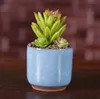 Ice Crack Flower Potts Succulent Garden Plants Pot Mini Thumb Desk Office Flower Havar Ceramic High Quality