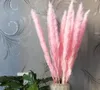 30 pcs. Bulrush Natural Dried Flowers Small Phragmits Grass DIY Artificial Flowers Home Wedding Decoration