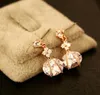 2020 Exquisite luxury high-end zircon flower earrings jewelry femininity ladies 18K gold plated earrings brand high-quality jewelry gifts