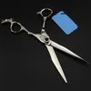 Anpassa Professional Japan 440C 7 tum Gem Dragon Pet Dog Grooming Hair Scissors Cutting Barber Shears Frisörsax