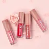 Fit kleuren 4 kleuren mini lip make-up set fantasy matte vloeibare lippenstift lip gloss lipgloss set