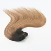 Mänskligt hårklipp i hårförlängning blandad färg # 2 # 6 # 27 Bästa seling mode stil brasilianska jungfru hår rakt 100g per bunt