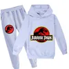 Enfant en bas âge garçons vêtements ensemble printemps automne mode sweats à capuche survêtement Jurassic Park à capuche t-shirt costume enfants enfant fille sweat-shirt5595532