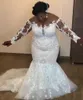 Mermaid Plus Size Wedding Dresses Bridal Gowns 2021 Africa Long Sleeves Lace Mesh Top Appliques Beads Court Train Bride Dress Vestidos De Novia