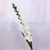 Gefälschte Gladiolen mit langem Stiel, 17,72" Länge, Simulation von Calamus-Grünblättern für Hochzeit, Zuhause, dekorative künstliche Blumen