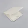Маска чехол для хранения Портативный Пластиковые маски Хранение Box Организатор Загрязнения Предотвращение хранения Зажим для лица Рот крышкой (5,1 «х 4,1»)