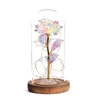 Eterno Flor Rose in Flask Glass Dome Valentine039s Day Gree com luz noturna para o casamento Mãe Dia Presen5092655