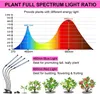 أدى النمو ضوء 80W قابل للتعديل ضوء أربعة رئيس توقيت الصمام 80 10 مستويات عكس معقوفة مصنع قابل للتعديل تنمو الاضواء عن النباتات بوعاء