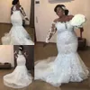 Mermaid Plus Size Wedding Dresses Bridal Gowns 2021 Africa Long Sleeves Lace Mesh Top Appliques Beads Court Train Bride Dress Vestidos De Novia