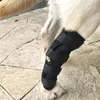 2PCS Lot Pet Knee Knee Wsparcie dla psa Brace dla nóg Hocka Włókna Oddycha