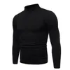 2020 Novos Homens Sexy Slim Fit Turtleneck Sweater Masculino Outono Outono Cor Sólida Manga Longa Pescoço Alto Camisola De Malha Pullovers