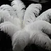 Grandes plumes d'autruche 18-20 45-205-50cm Centres de table Décorations de mariage Table d'Ostrich Feathers Centerpiece Décoration d'événement