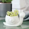 Ceramic Flower Pot Succulent Plant Animals Shape Planters Pots Flowerpot for Home Office Garden Desktop Decor Bonsai Y200709