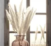 30 pcs. Bulrush Natural Dried Flowers Small Phragmits Grass DIY Artificial Flowers Home Wedding Decoration