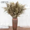 8/10/20pcs Natural Dried Flower Reed Pampas Grass Home Decor Wedding Decorations Farm Background