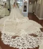 2020 Sequins Bridal Weiols Appliques Кружева кромки Один слой Блушера Вуаль Изготовлена ​​на заказ Длинные Туль Свадебные вуаль