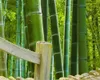 Custom 3d Landscape Wallpaper Small Bridge and Beautiful Bamboo Forest 3D Landscape Painting Living Room Bedroom HD Wallpaper