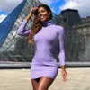 Women Bodycon Mini Dress Knitted Cotton Long Sleeve Burgundy Dresses Spring Pure Casual Black Women Clothes Ladies Dress