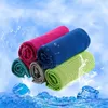 Hot 100PCS Fajne Ręcznik Outdoor Cooling Artefakt Zimny ​​Ręcznik Zimny ​​Tkanina Szybkie Suszenie Dorosłych Dzieci Sportowe Ręcznik Lodowy 30 * 80cm T50097