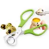 Ferramentas de aço DHL Hot Quail Egg Scissors pássaro Ovo Tesoura inoxidável ovo Shell cortador Ovos Slicer Opener