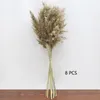 8/10/20pcs Natural Dried Flower Reed Pampas Grass Home Decor Wedding Decorations Farm Background