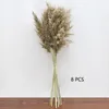 8/10/20pcs Natural Dried Flower Reed Pampas Grass Home Decor Wedding Decorations Farm Background