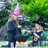 Halloween Witch Hat with LED Light Glowing Witches Hat Hanging Halloween Decor Suspension Tree Glowing Hat for Kids Adult Free Shipping