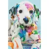 Tam kare paralı elmas 5d diy elmas boyama renkli köpek yavrusu nakış çapraz dikiş rhinestone mozaik ev dekor5014122
