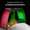 Portable Beauty Equipment 7 Colors PDT Led Light Therapy Acne Therapy Machine With Cold Hot Spray Face Steaming