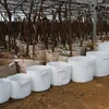 ハンドルの根の容器の植物の袋の苗木の苗木の植木鉢の植木鉢の不織布の木の布の鉢を育てる