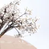 Bos van Plastic Natuurlijke Tallow Berry Gedroogde Witte Tak voor Home Wedding Christmas Flower Core Accessoires Fake Plant1