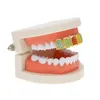 Iced Out Gold Grillz Teeth Dental Grills Colorful Simulation Diamond Fashion Fashion High Quality Hip Hop Bijoux