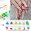 Nagelklistermärken verkliga naturliga torkade blommor naglar konstpaket leveranser 3D Applique Manicure Decoration Sequin Glitter DECALS FÖR TIPS DE6288218