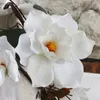 Fiori di seta artificiale da 185 cm bellissimi fiori decorativi di magnolia vivida vite per accessori per la decorazione di hotel per la casa di nozze
